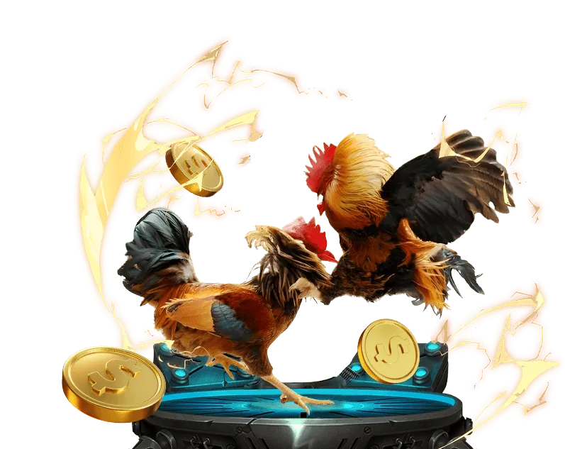 Hỗ trợ trò chuyện trực tiếp